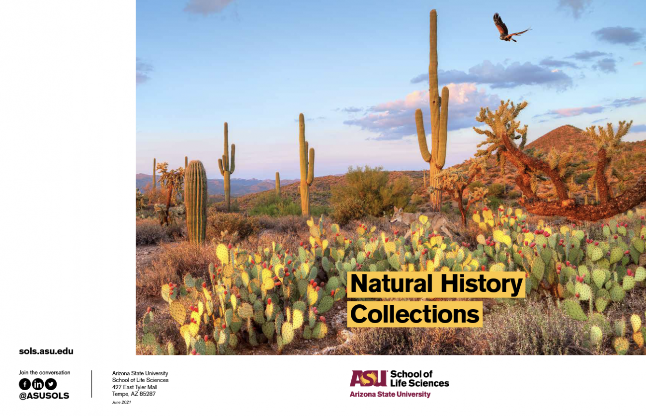 Natural History Collections brochure.